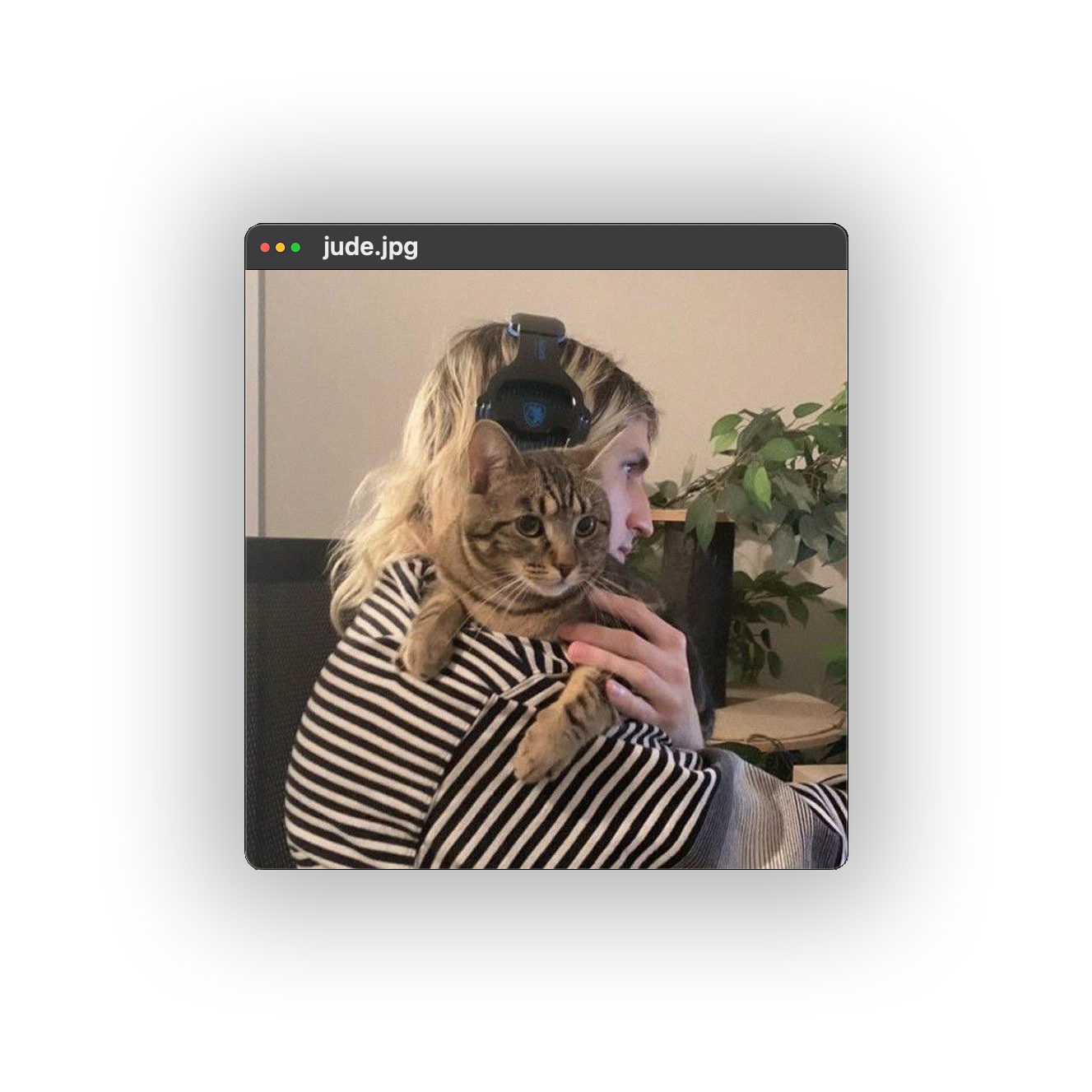 jude.jpg